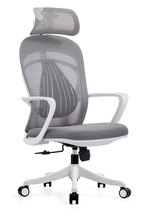 Classic Mesh ergonomic Chair 0