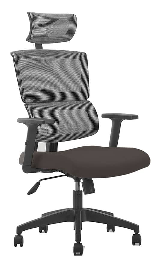 Leo Ergonomic Office Chair 0