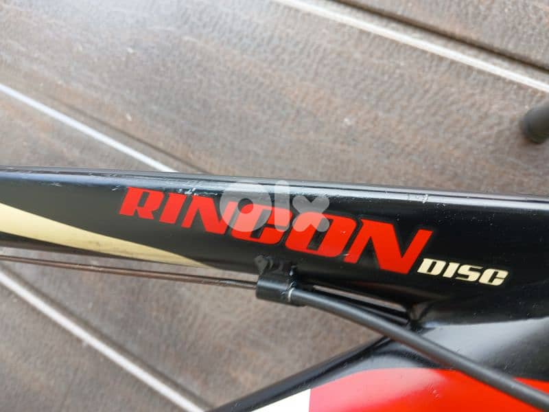 Giant Rincon 3