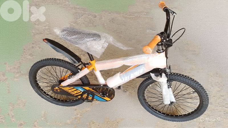 20 inch bicycle 0