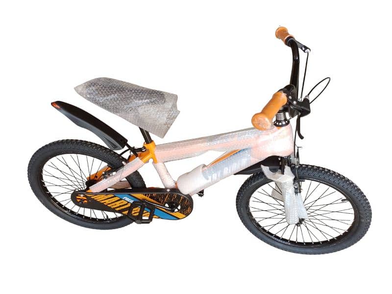 20 inch bicycle 1