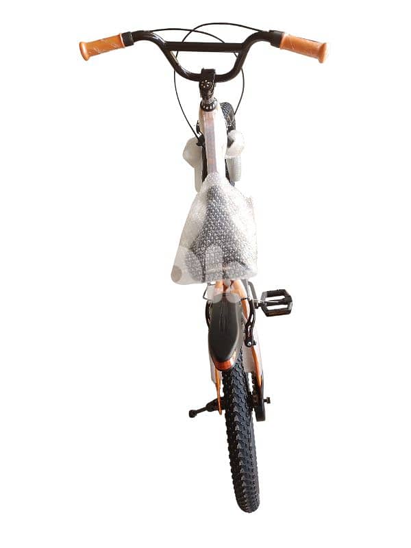 20 inch bicycle 3