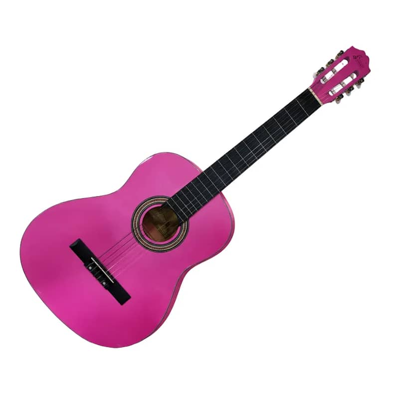 Aileen Pink Guitar 0