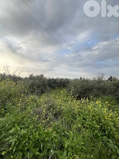 RWB139RR - Land for sale in Ras Maska Koura