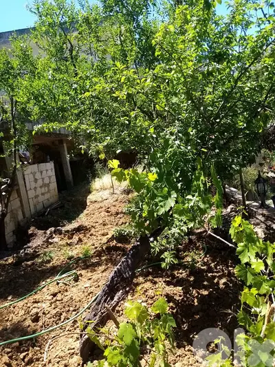 أرض للبيع في كفرحي الشوف land for sale in chouf