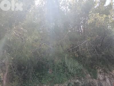 Land for sale in Biaqout