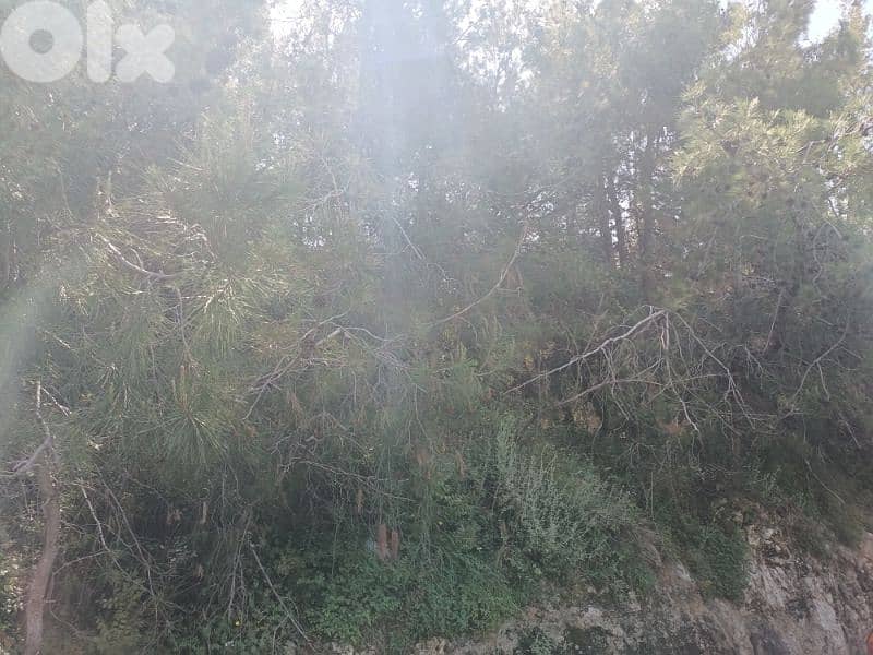 Land for sale in Biaqout 1