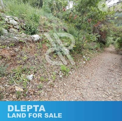 Land for sale at Dlepta - أرض للبيع في دلبتا