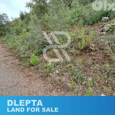Land for sale at Dlepta - أرض للبيع في دلبتا
