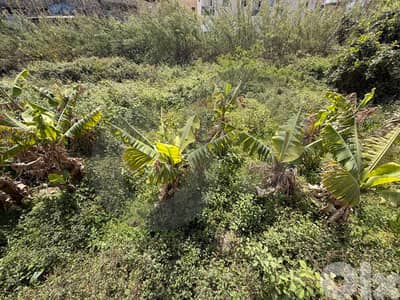 Partial Sea View , Flat Plot , Edde - jbeil / إدي جبيل REF#KJ134836