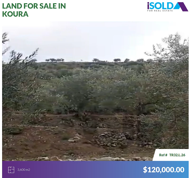 3600m2 Prime land mountain view 4sale in Koura - أرض للبيع في الكورة