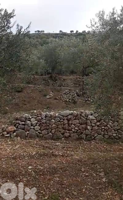 3600m2 Prime land mountain view 4sale in Koura - أرض للبيع في الكورة