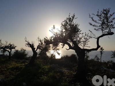 Land for Sale in Monsef 3700m² ONLY for 1000K في المنصف