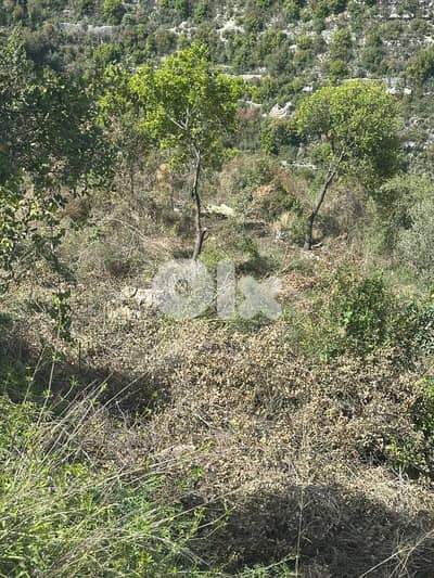 Land for Sale in Chamat 8000m² ONLY for 200K في شامات