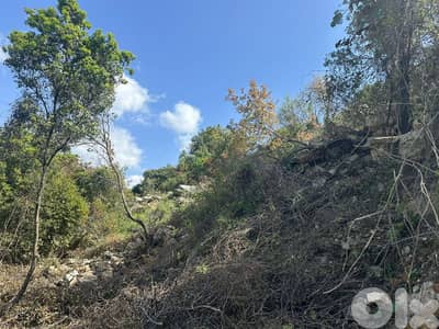 Land for Sale in Chamat 8000m² ONLY for 200K في شامات