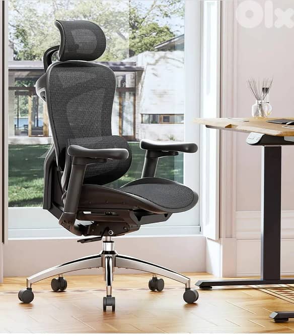 Sihoo C300 Ergonomic Office Chair with Advanced Back Support 0