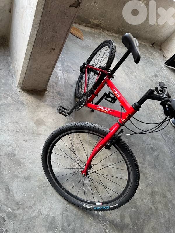 Bicycle 2