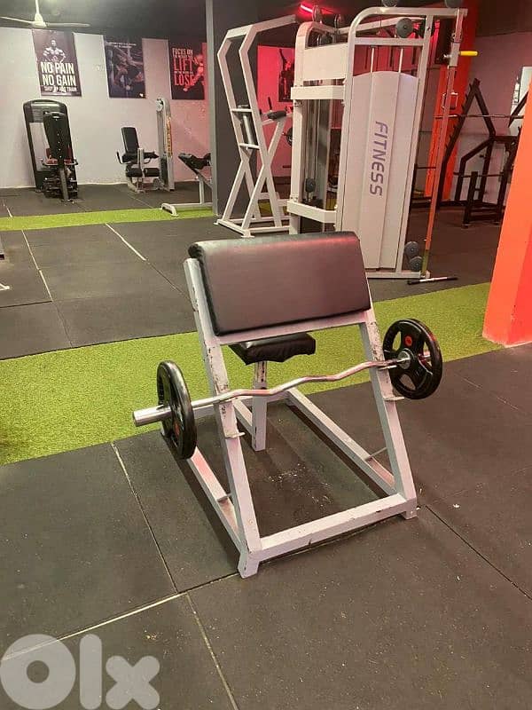 Biceps Bench - like new 0