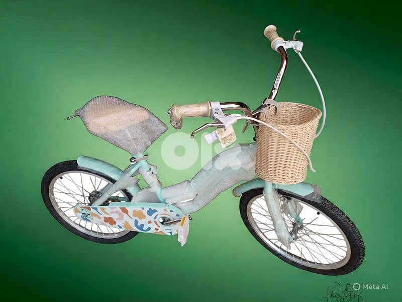 20 inch bicycle 0