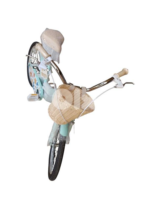 20 inch bicycle 1