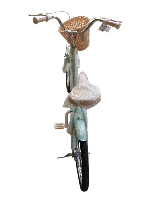 20 inch bicycle 2
