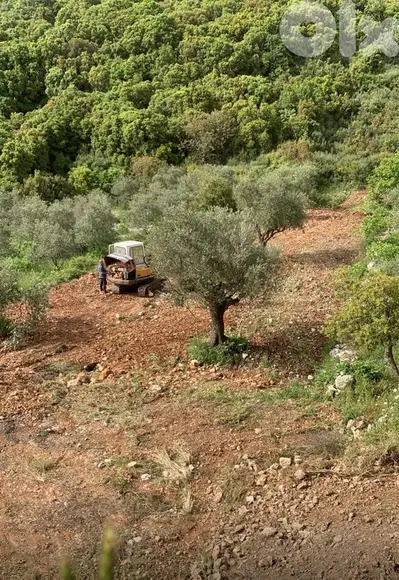 GMB249SZ - Land For Sale In Bejjeh - أرض  للبيع في بجه