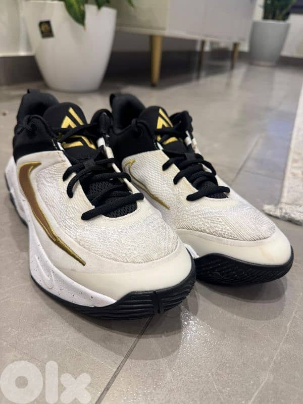 Nike Giannis Immortality 4 size 39 (basketball/sports shoes) 1