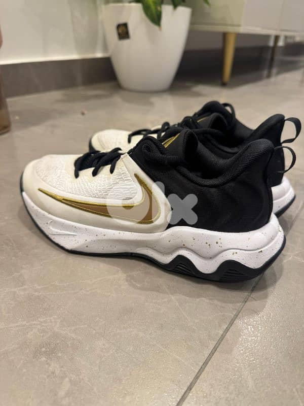 Nike Giannis Immortality 4 size 39 (basketball/sports shoes) 2