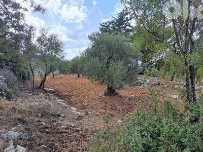 Land for Sale in Deir bela Batroun 10700m² ONLY for 535K في ديربلّا