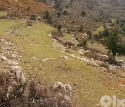 lands for sale in Lassa-Jbeilأرض للبيع في لاسا-جبيل