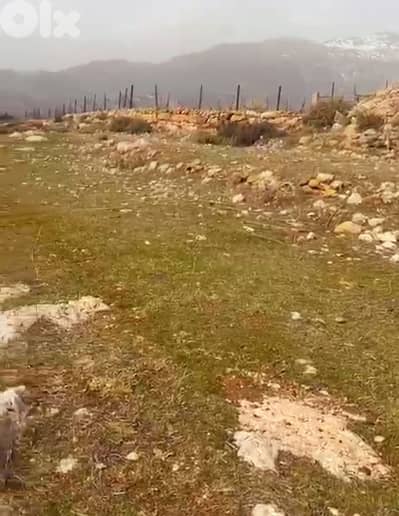 lands for sale in Lassa-Jbeilأرض للبيع في لاسا-جبيل