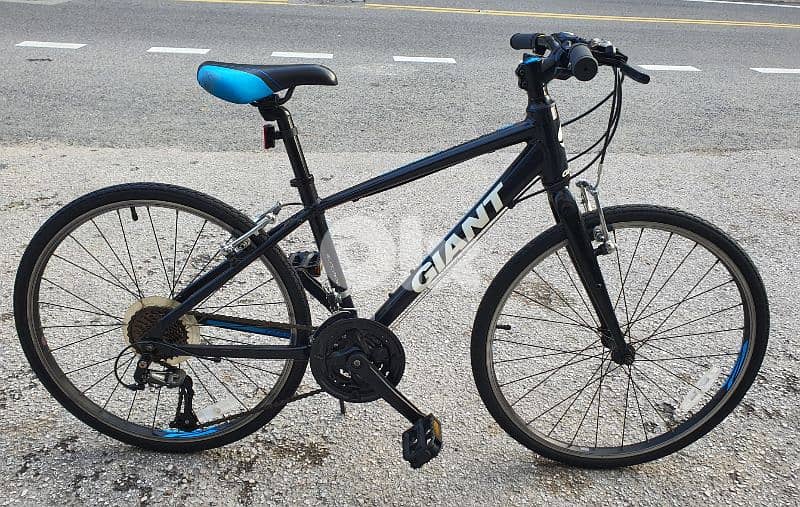Giant Revel 24" full Aluminium 0