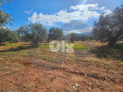 Investment opportunity, Kferzaina Zgharta/ كفرزينا زغرتا REF#PC135059 Investment opportunity, Kferzaina Zgharta/ كفرزينا زغرتا REF#PC135059