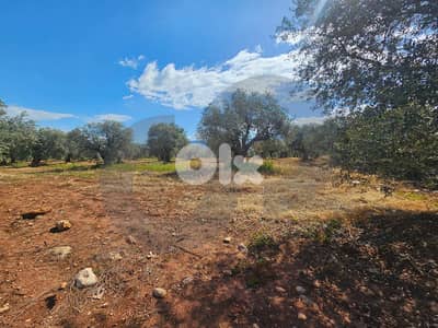Investment opportunity, Kferzaina Zgharta/ كفرزينا زغرتا REF#PC135059 Investment opportunity, Kferzaina Zgharta/ كفرزينا زغرتا REF#PC135059