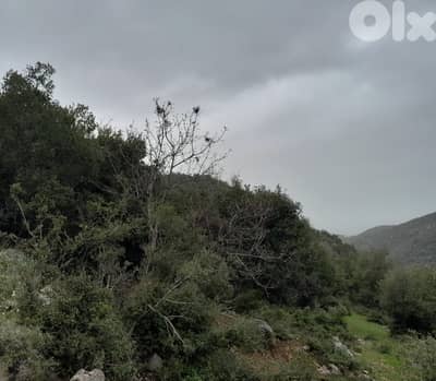 Huge land for sale in Blat, Jbeil أرض شاسعة للبيع في بلاط، جبيل Huge land for sale in Blat, Jbeil أرض شاسعة للبيع في بلاط، جبيل