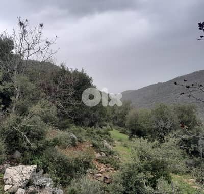 Huge land for sale in Blat, Jbeil أرض شاسعة للبيع في بلاط، جبيل Huge land for sale in Blat, Jbeil أرض شاسعة للبيع في بلاط، جبيل
