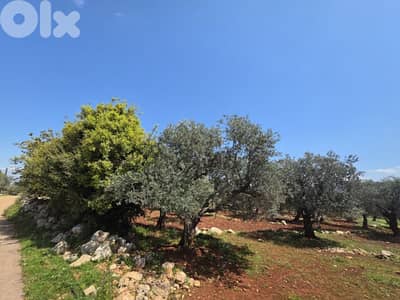 RWB189CC - Land for sale in Nakhle Koura RWB189CC - Land for sale in Nakhle Koura
