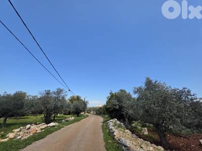 RWB189CC - Land for sale in Nakhle Koura RWB189CC - Land for sale in Nakhle Koura