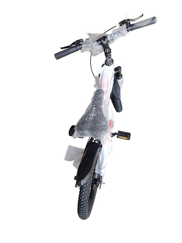 16 inch bicycle 2