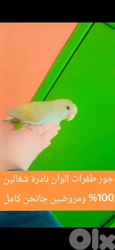 بيروت الحمرا 3