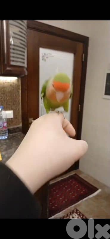 بيروت الحمرا 4