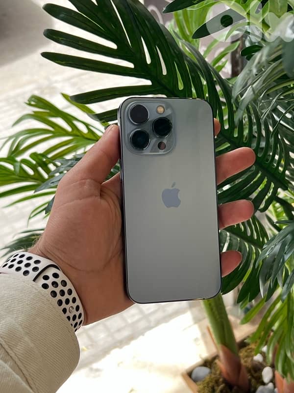 بعلبك السوق 0