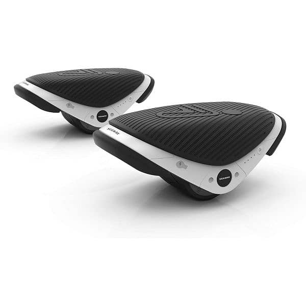 Segway Drift W1 1