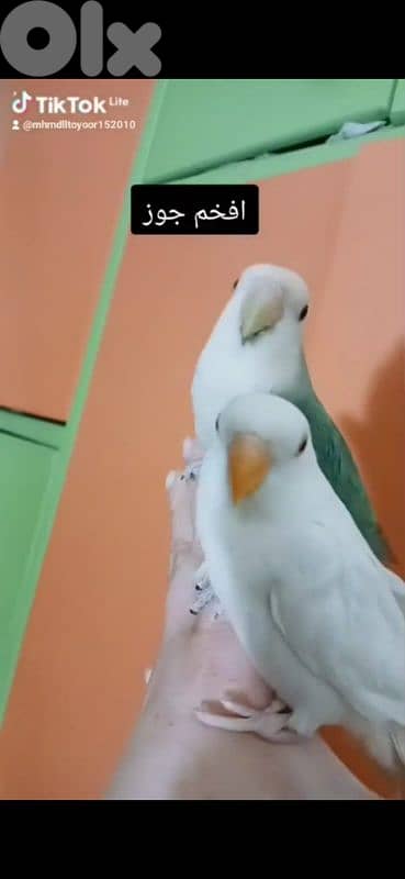 بيروت الحمرا 9