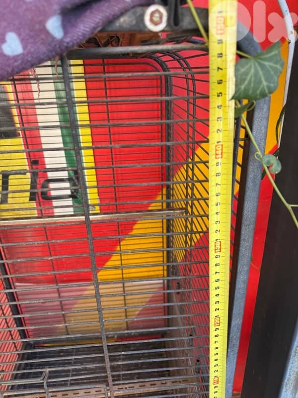 parot or other cage 0