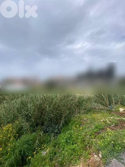 prime land for sale in Batroûn