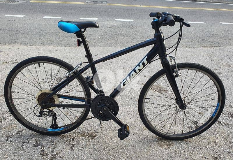 Giant Revel 24" full Aluminium very light weight 0