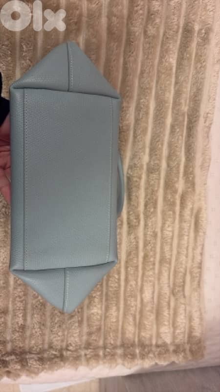 Longchamp Le Roseau S celadon green handbag 2