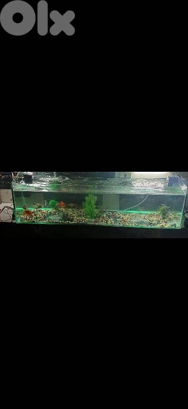 AQUARIUM 0