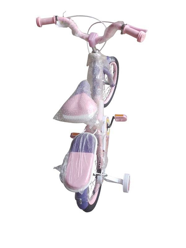 16 inch bicycle 2